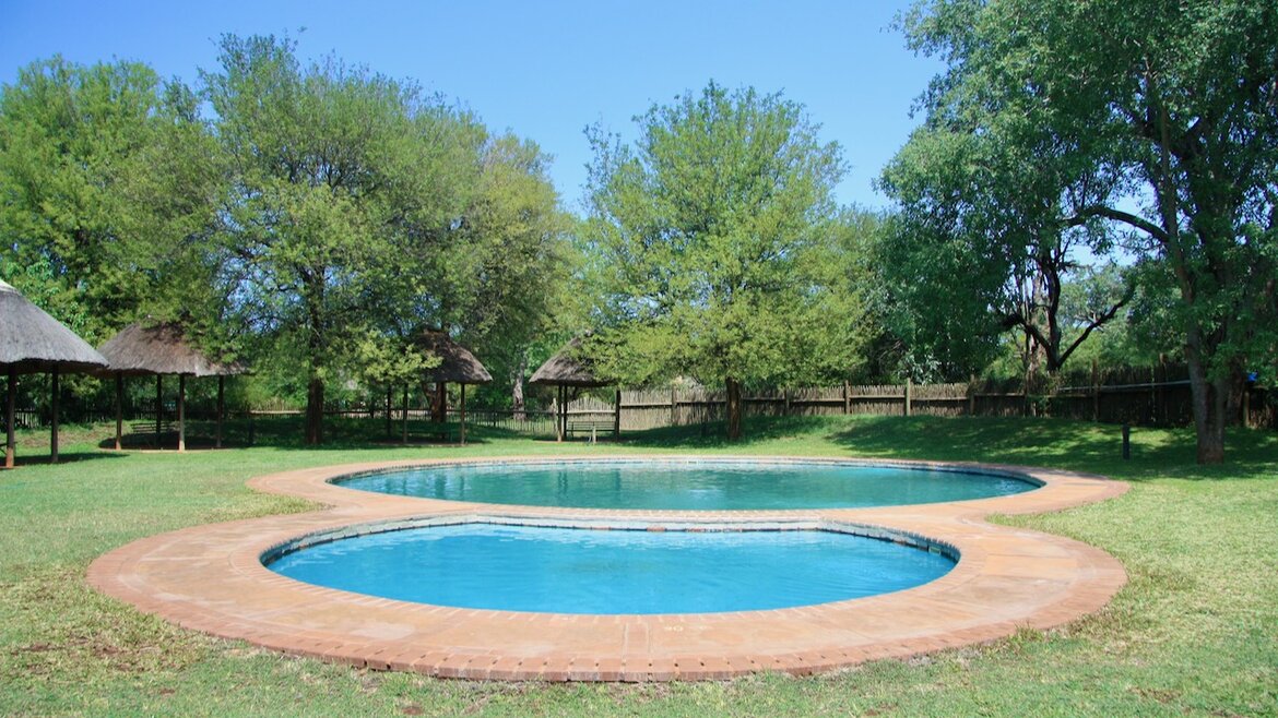 The Kruger Park: From Swimming Pool To Swimming Pool.