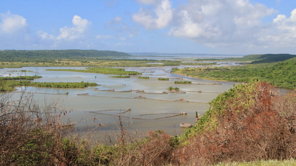 A view of the Kosi Bay lakes from the Estuary Lookout Point