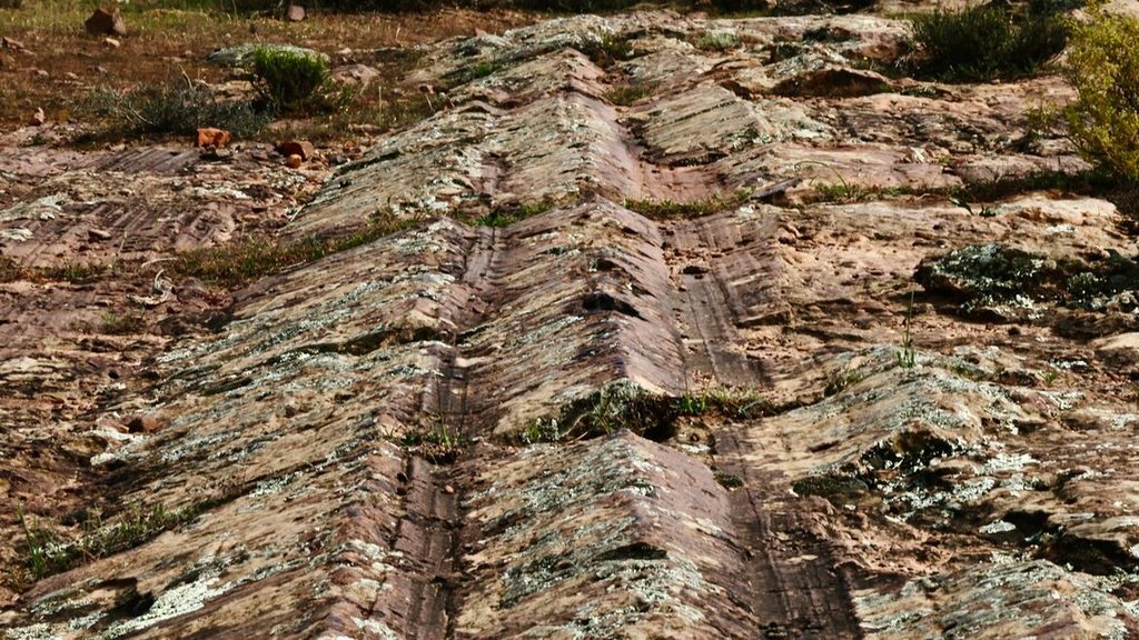 A close up view of the glacial grooves in the rock at Oorlogskloof Glacial Pavement.